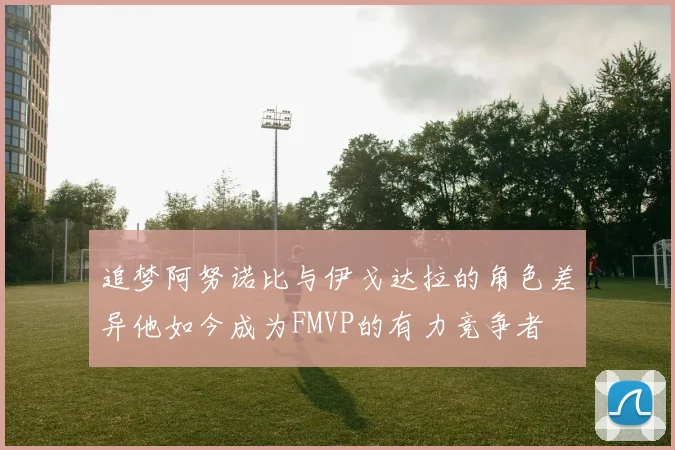 追梦阿努诺比与伊戈达拉的角色差异他如今成为FMVP的有力竞争者