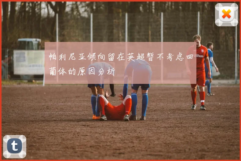 帕利尼亚倾向留在英超暂不考虑回葡体的原因分析